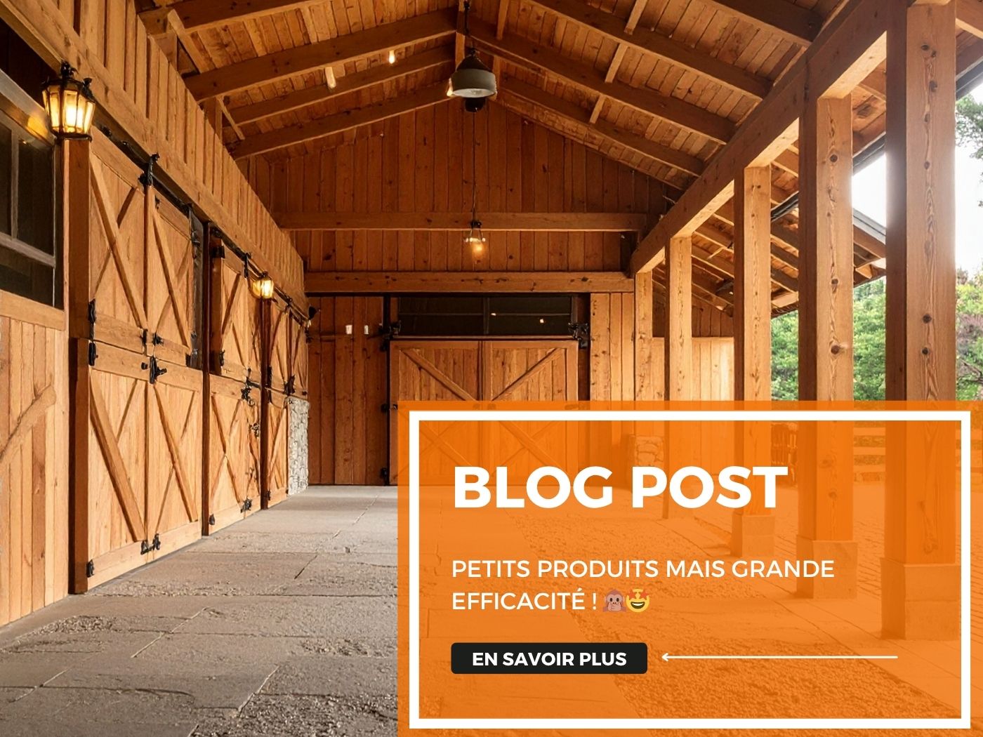 Petits produits mais grande efficacité ! 🙊🤩