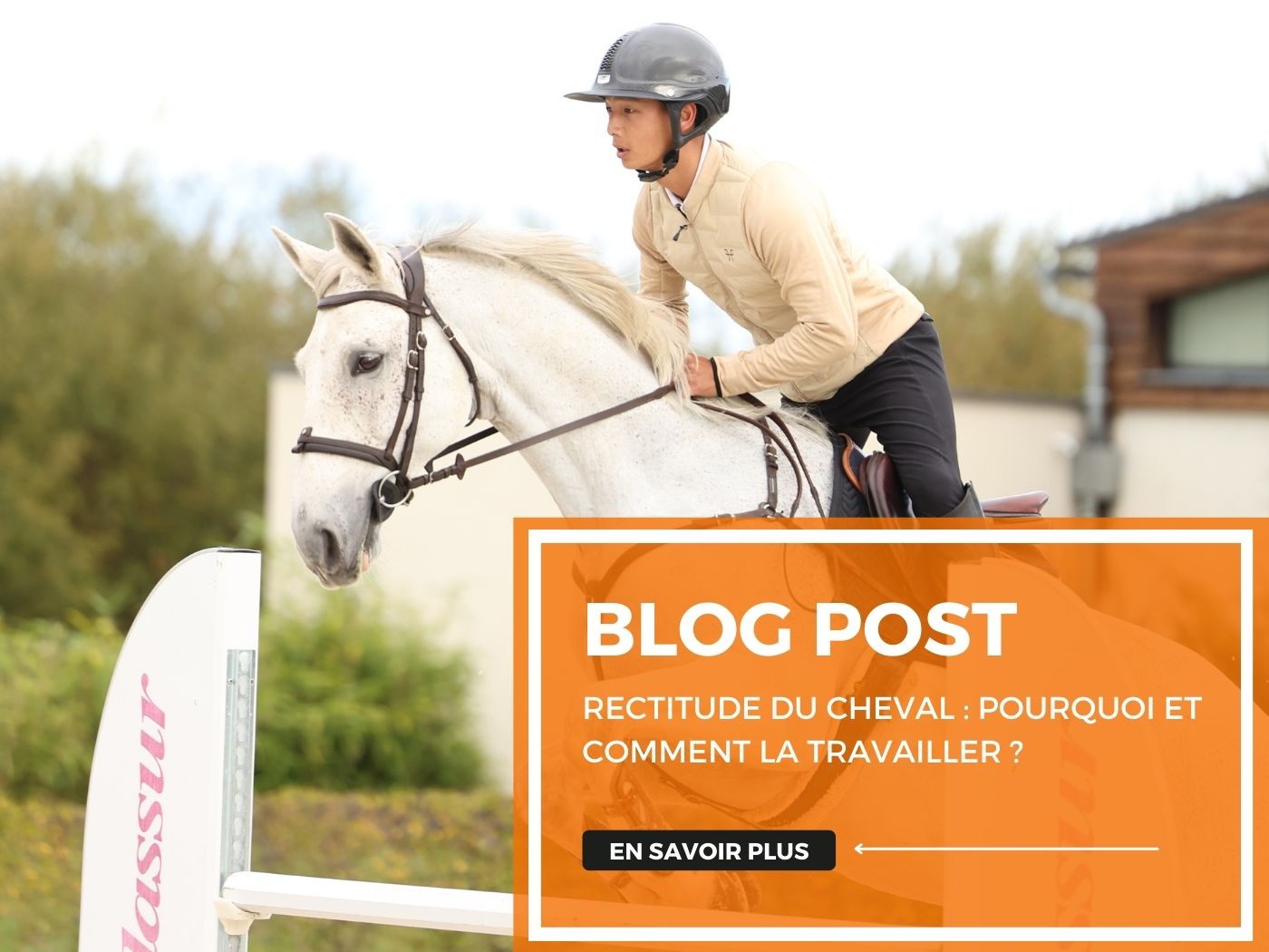Rectitude du cheval : pourquoi et comment la travailler ?