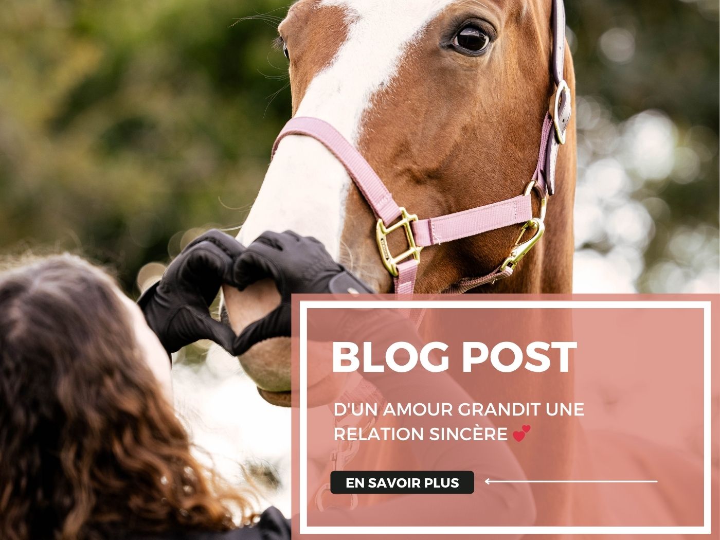 D'un Amour grandit une relation sincère 💕