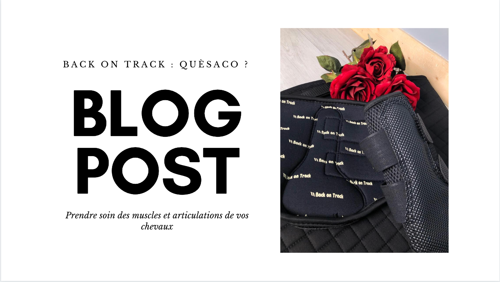 Back On Track : Quèsaco ?