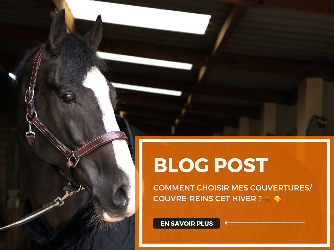 Comment choisir mes couvertures/ couvre-reins cet hiver ? 🥰🍂