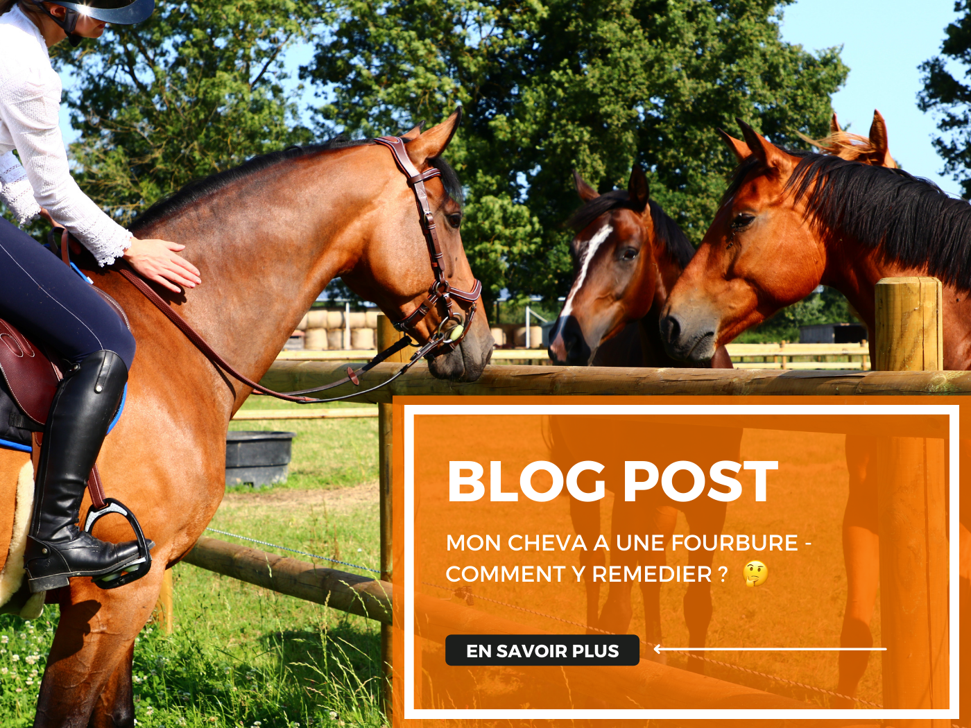 MON CHEVAL A UNE FOURBURE - COMMENT Y REMEDIER ❓