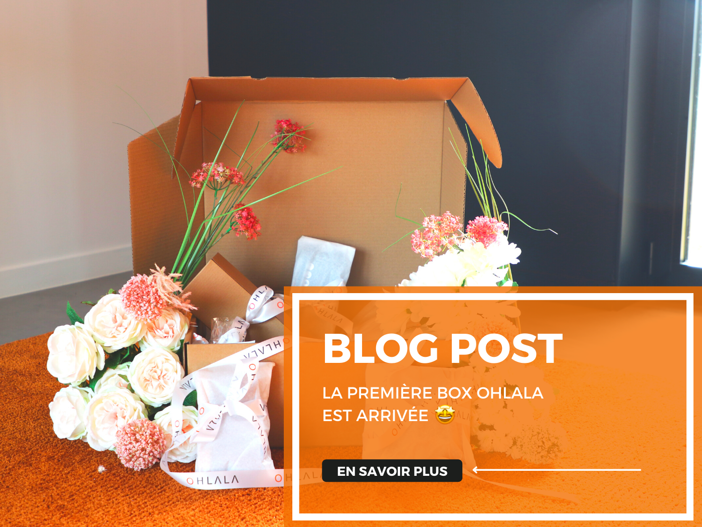 Visuel présentant un nouveau blog post sur la Box Ohlala