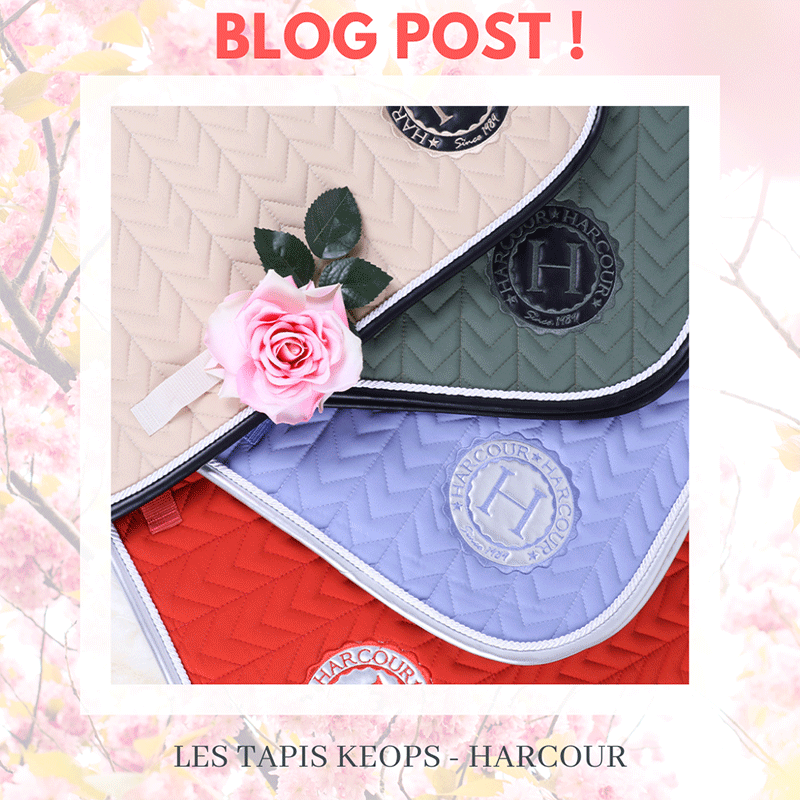 LES 4 NOUVELLES MERVEILLES HARCOUR 🥰  La collection KEOPS 🔅