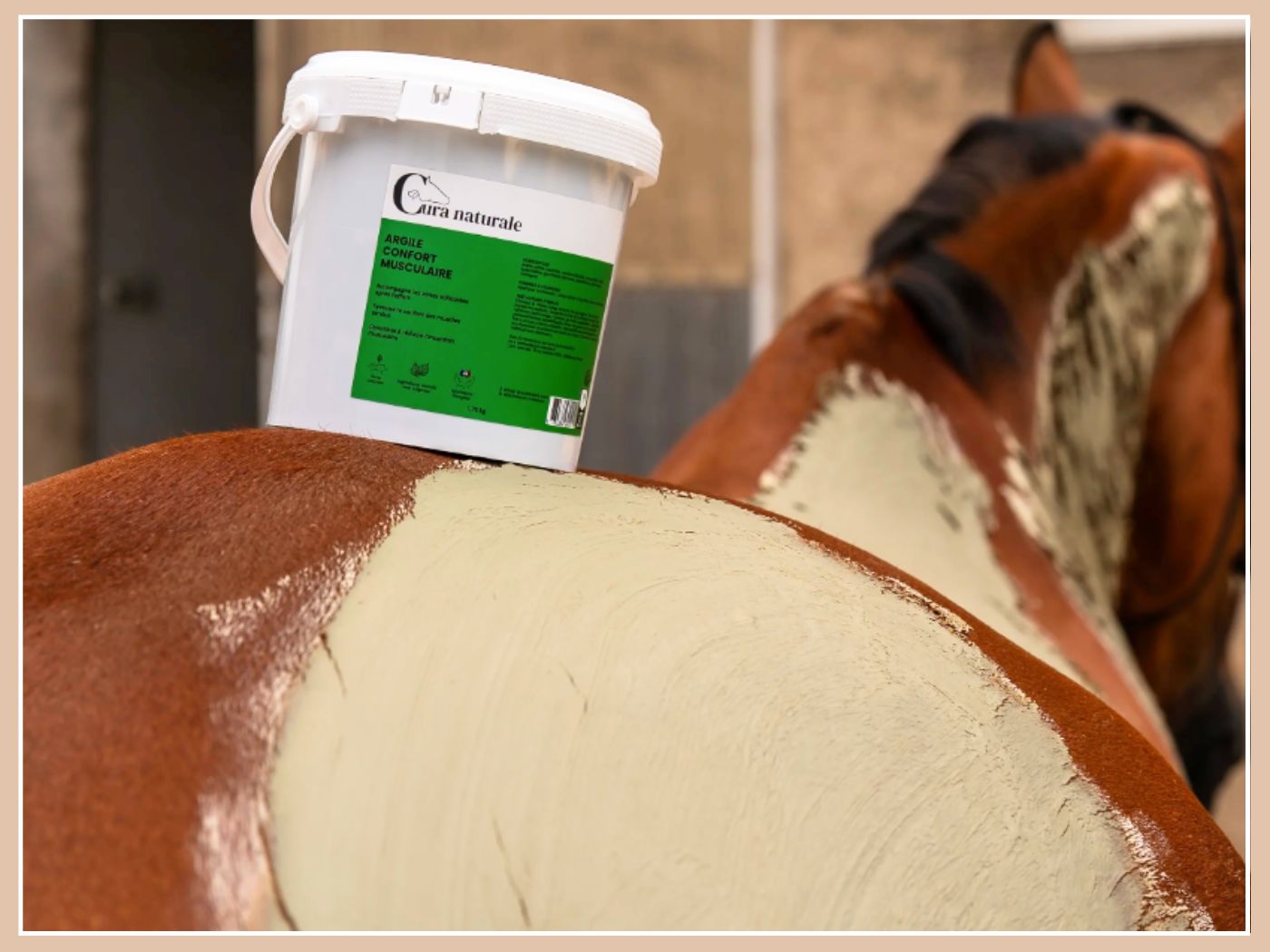 WELCOME CURA NATURALE ✨