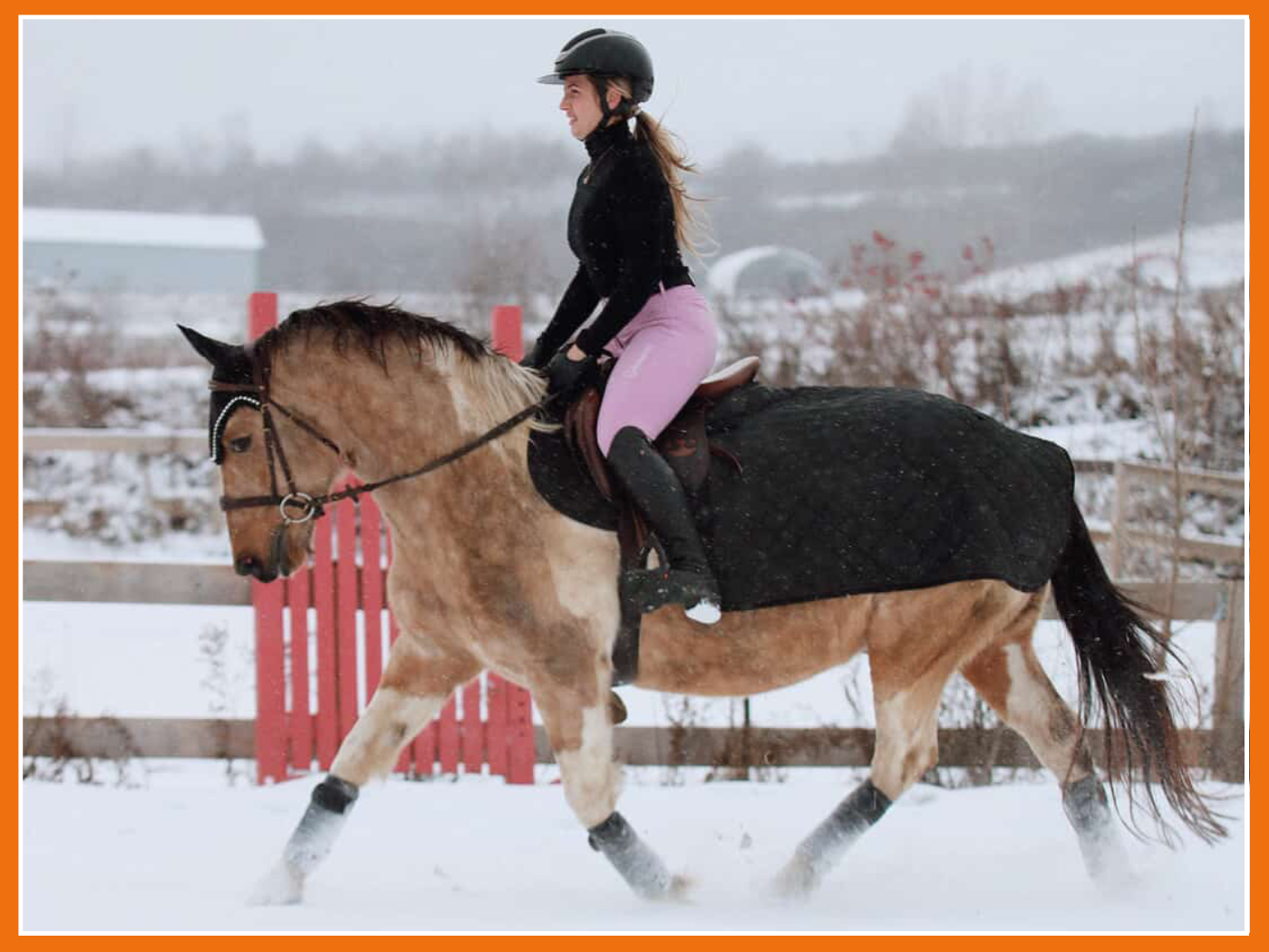 Préparer et détendre son cheval en hiver ❄️💪