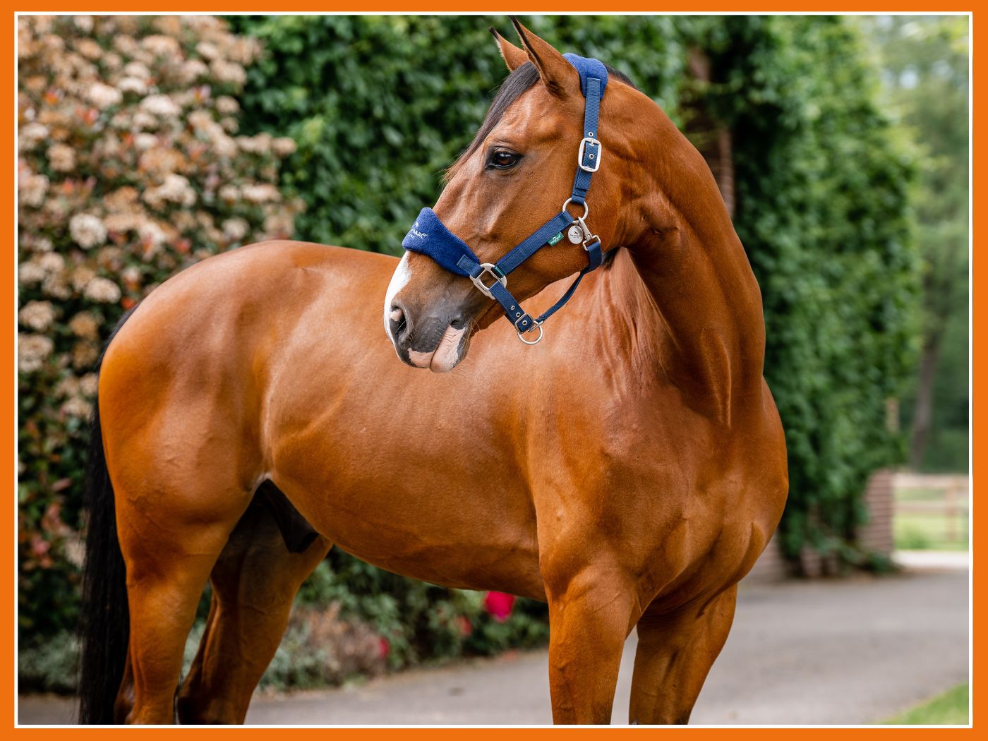 Bonne fête maman - Quel cadeau lui faire ? 💝