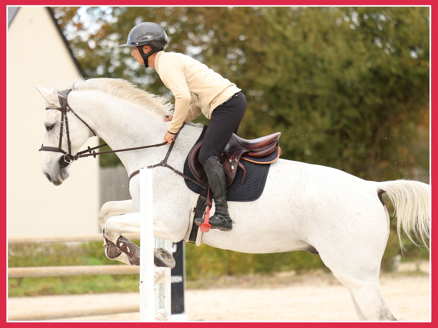Muscler le dos de votre cheval 💪🔥