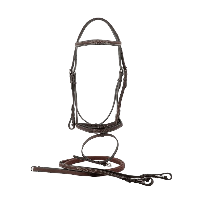 Privilege Equitation - Bridon Royan combiné avec rênes marron