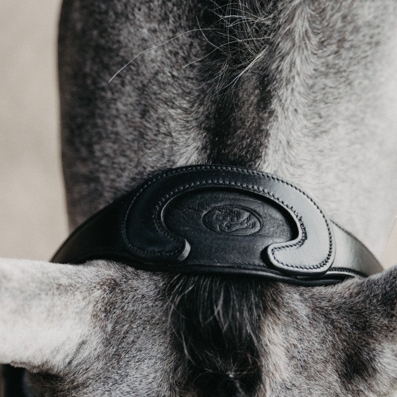 Jump'In - Têtière + rênes Evolution noir