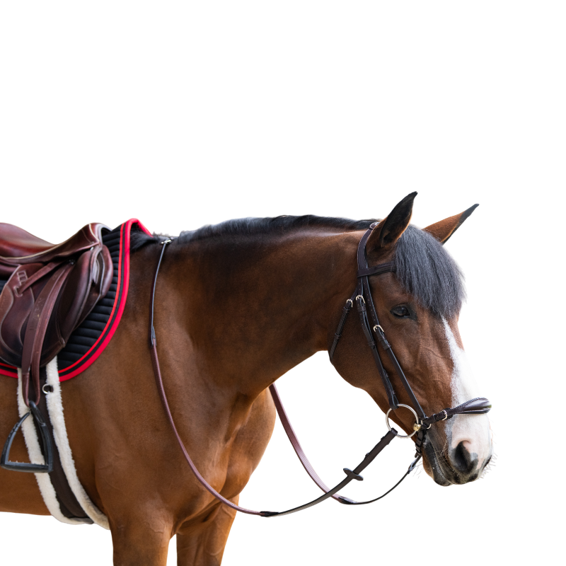 Jump'In - Bridon muserolle allemande Evolution havane