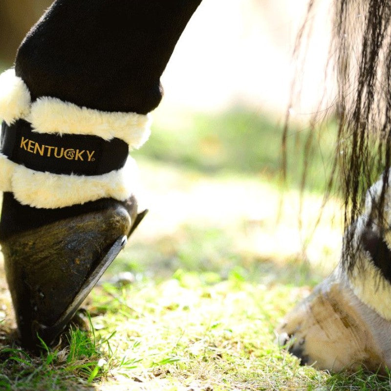 Kentucky Horsewear - Schapenbeschermers