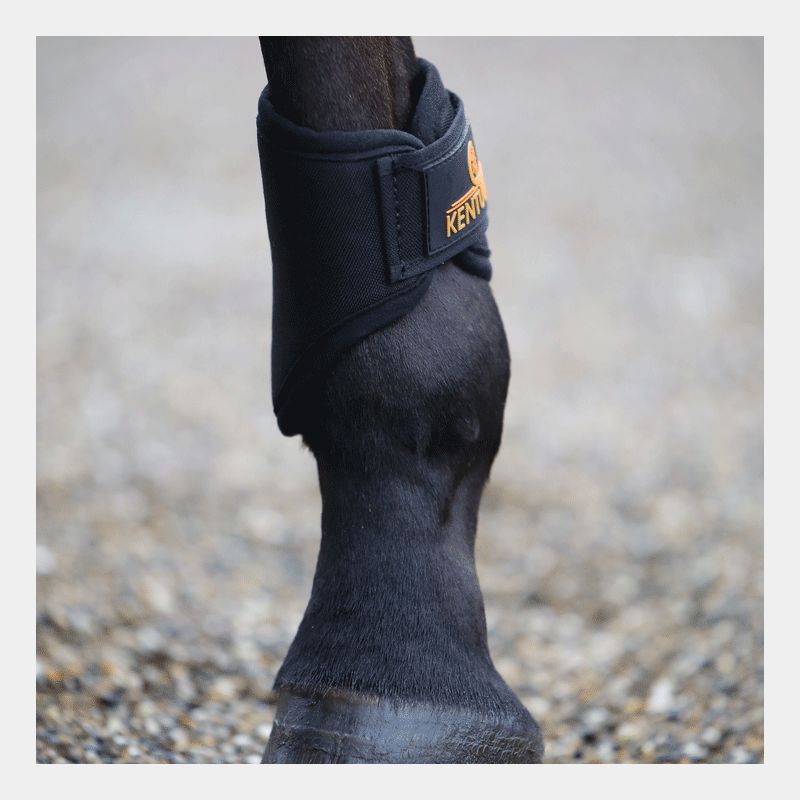 Kentucky Horsewear - Protège-boulets Short 3D Spacer noir | - Ohlala