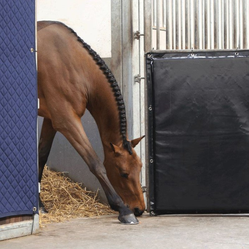 Kentucky Horsewear - Transport protection/box Kick Pad