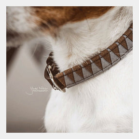 Kentucky Horsewear - Colliers pour chiens Triangle | - Ohlala
