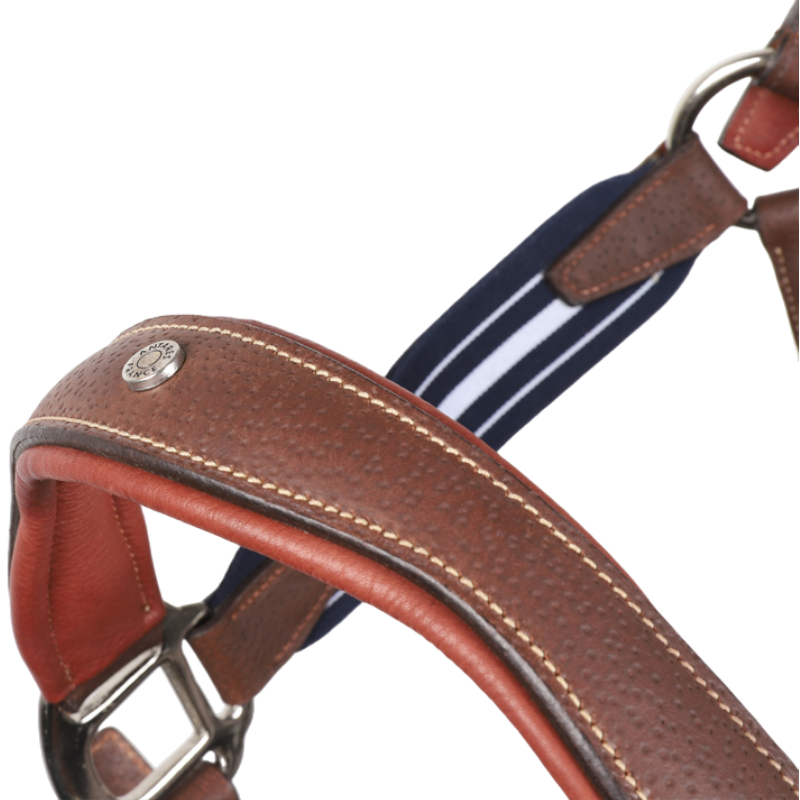 Antarès Sellier - Licol en cuir Stressless grainé havane / marine | - Ohlala