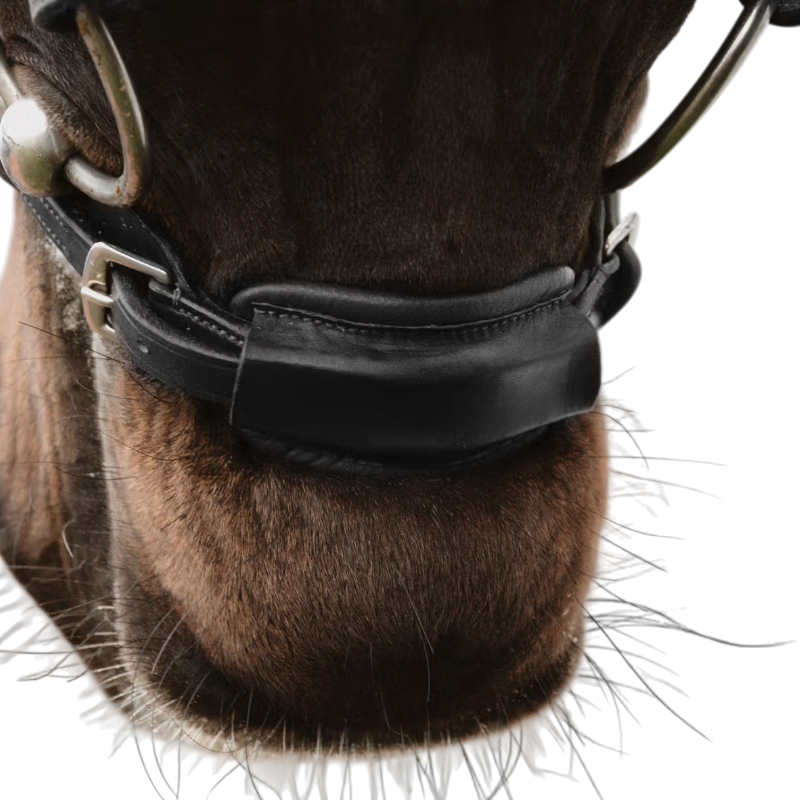 Dyon - Attache de muserolle 1/2 New English Collection noir