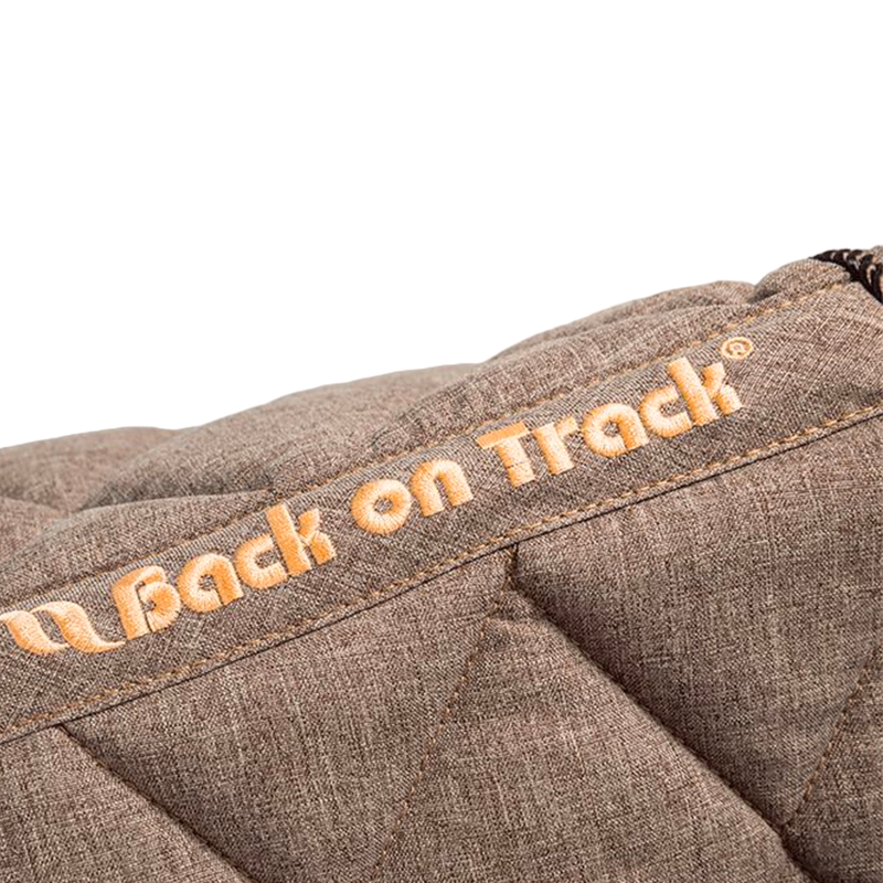 Back On Track - Haze Brown Saddle Tapijt