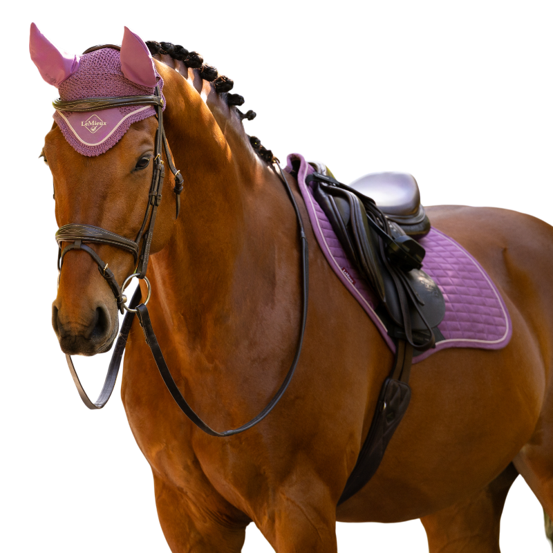 LeMieux - Bonnet pour chevaux Classic mallow | - Ohlala