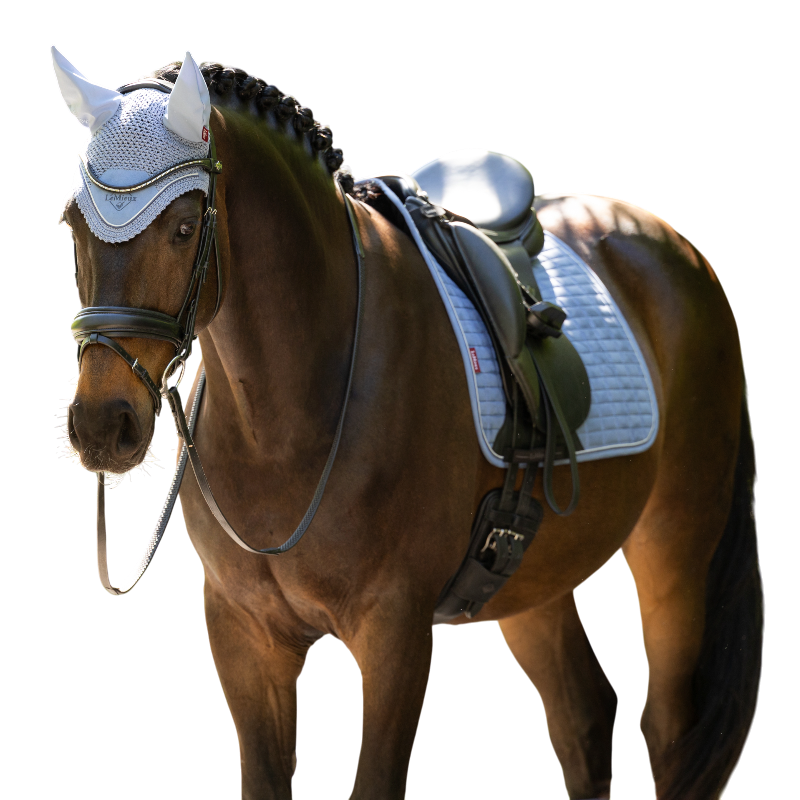 LeMieux - Bonnet pour chevaux Classic powder blue | - Ohlala