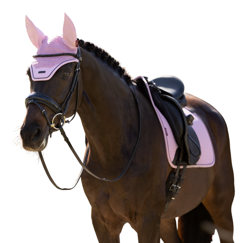LeMieux - Bonnet pour chevaux Essence fondant | - Ohlala