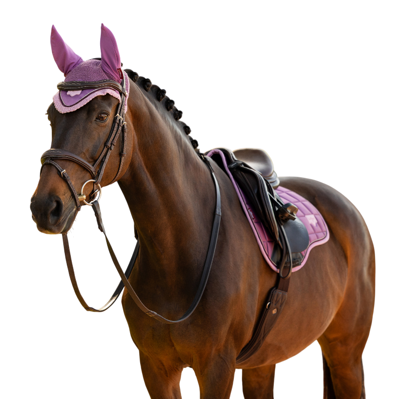 LeMieux - Bonnet pour chevaux Loire mallow | - Ohlala