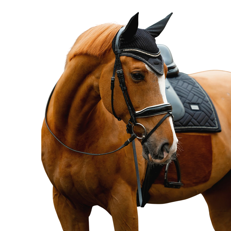 Equestrian Stockholm - Bonnet pour chevaux Modern Crystal noir