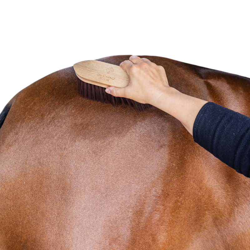 Grooming Deluxe - Bouchon en bois à poils moyen marron