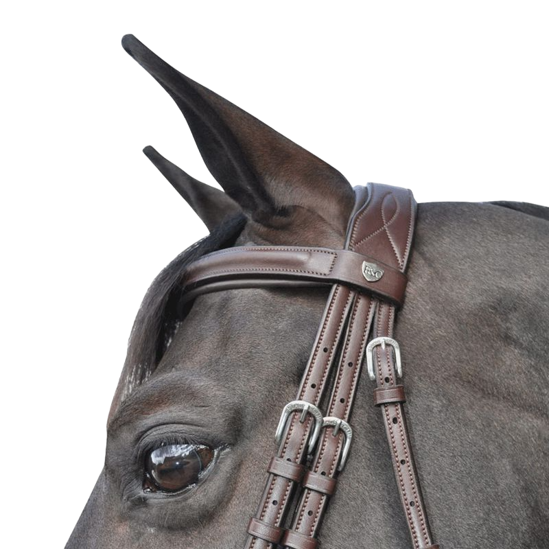 Flags &amp; Cup - Hickstead Bridle with Brown Reins 