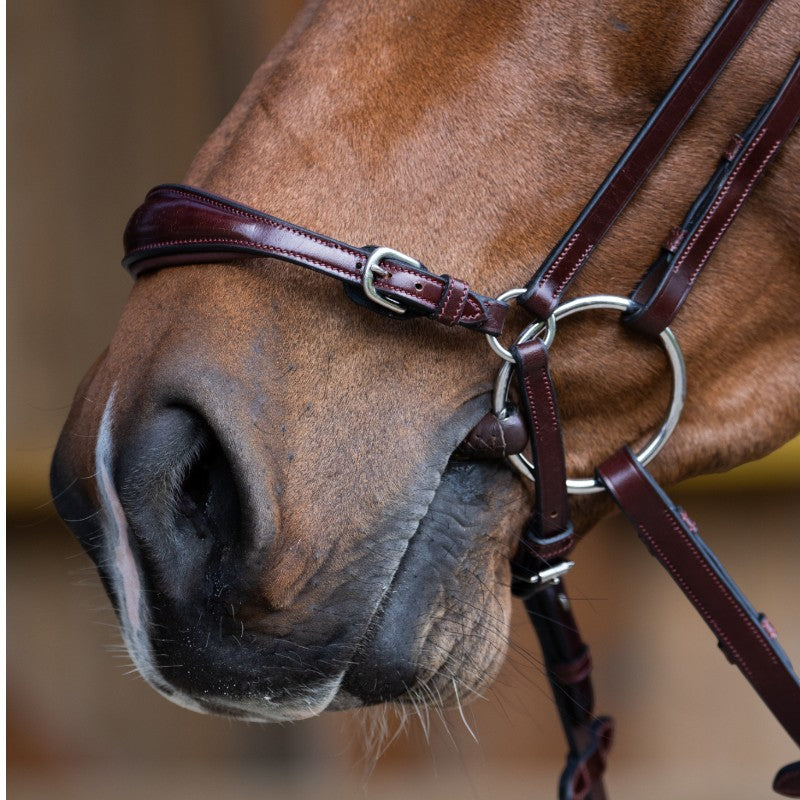 Jump'In - Bridon muserolle allemande Evolution noisette