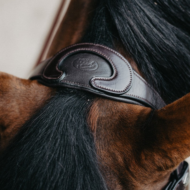 Jump'In - Bridon muserolle combinée Evolution havane