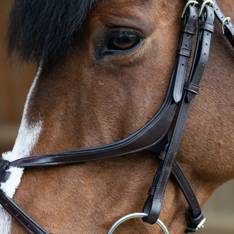 Jump'In - Bridon muserolle croisée Evolution havane