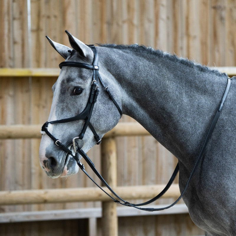 Jump'In - Bridon muserolle croisée Evolution noir