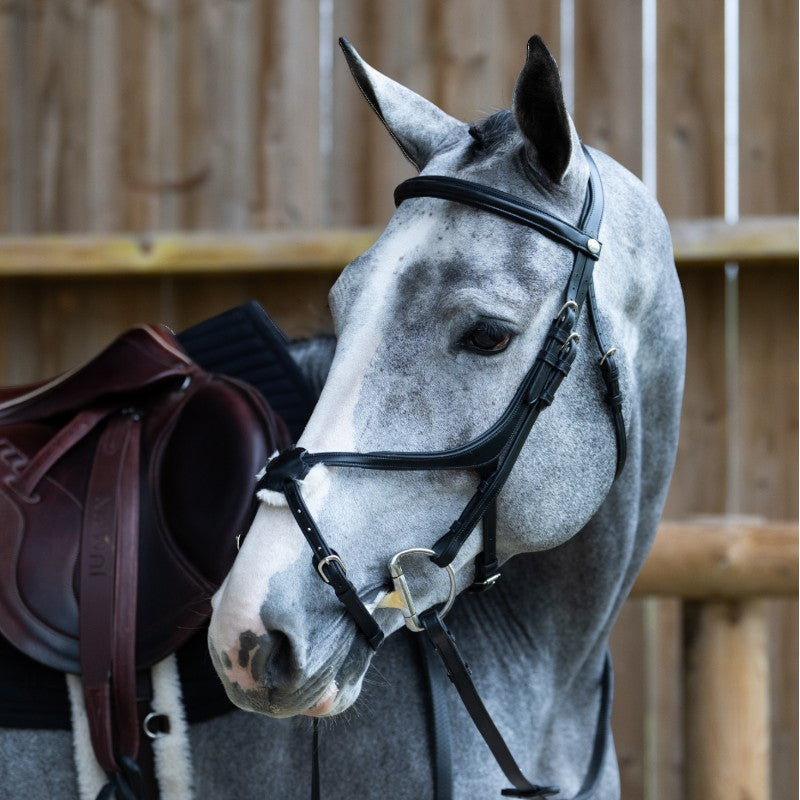 Jump'In - Bridon muserolle croisée Evolution noir