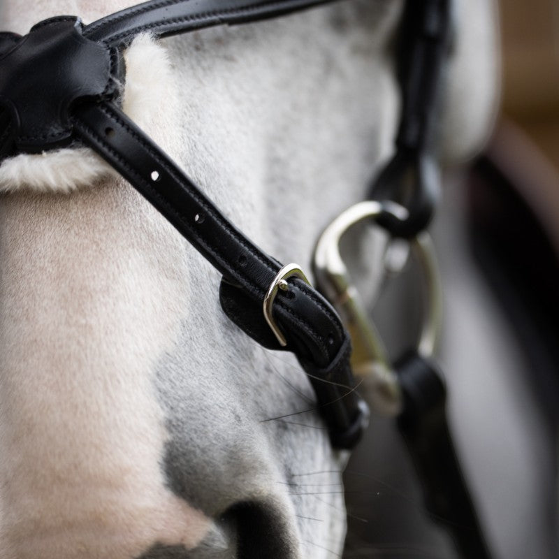 Jump'In - Bridon muserolle croisée Evolution noir