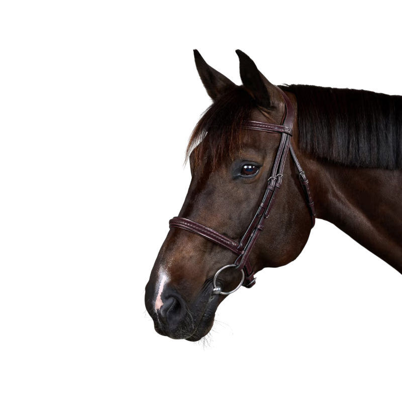 Dyon - Bridon New English Collection brown 