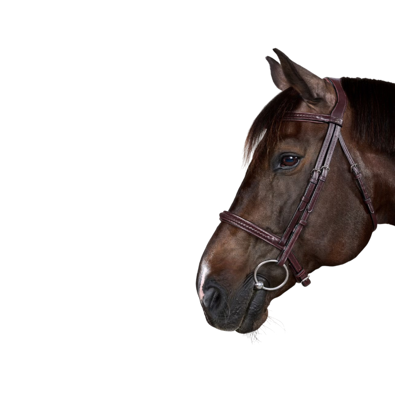 Dyon - Bridon Nieuwe Engelse Collectie bruin 