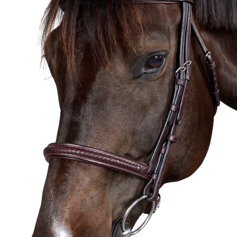 Dyon - Bridon Nieuwe Engelse Collectie bruin 