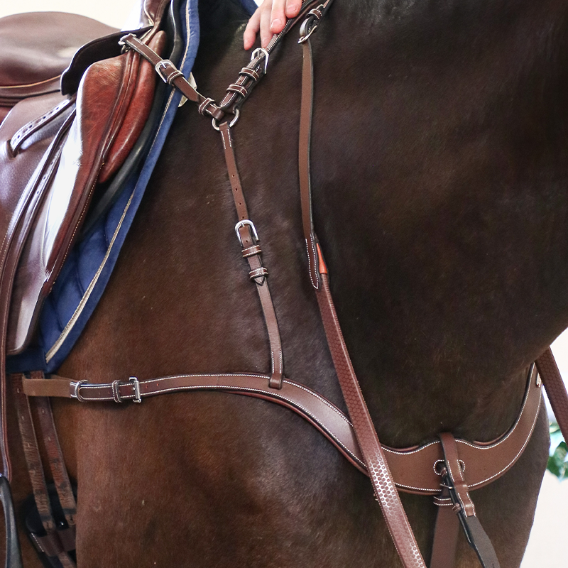 Jump'In - Collier de chasse 5 points + martingale One Noisette | - Ohlala