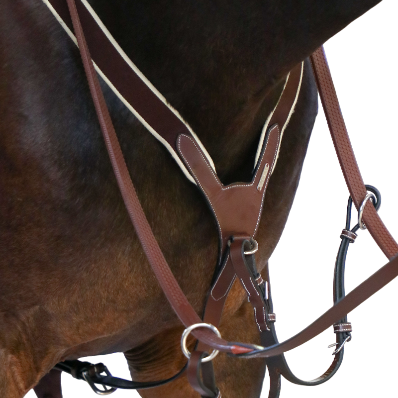 Jump'In - Collier de chasse élastique + martingale One Noisette | - Ohlala