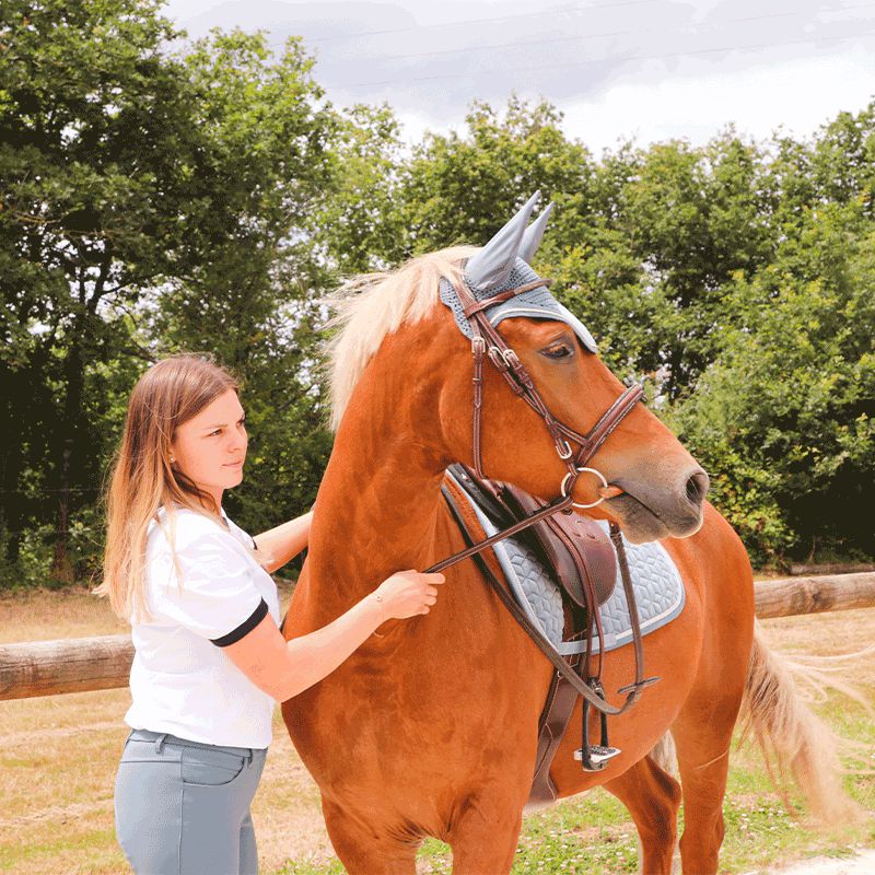 Collection Equine - T-shirt manches courtes Graziano blanc/ noir | - Ohlala