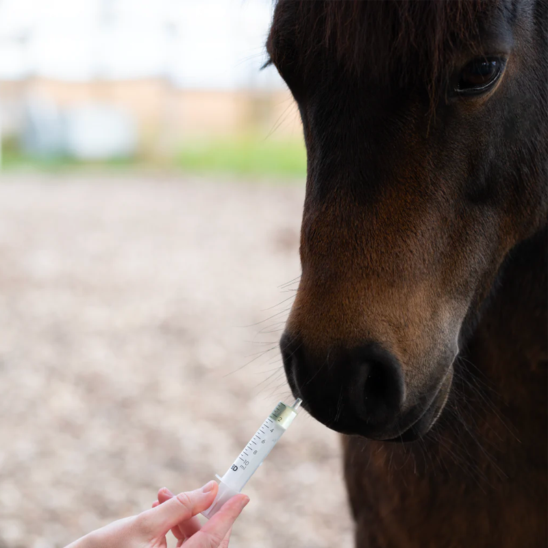 Cura Naturale - Complément alimentaire pour chevaux parasites intestinaux | - Ohlala