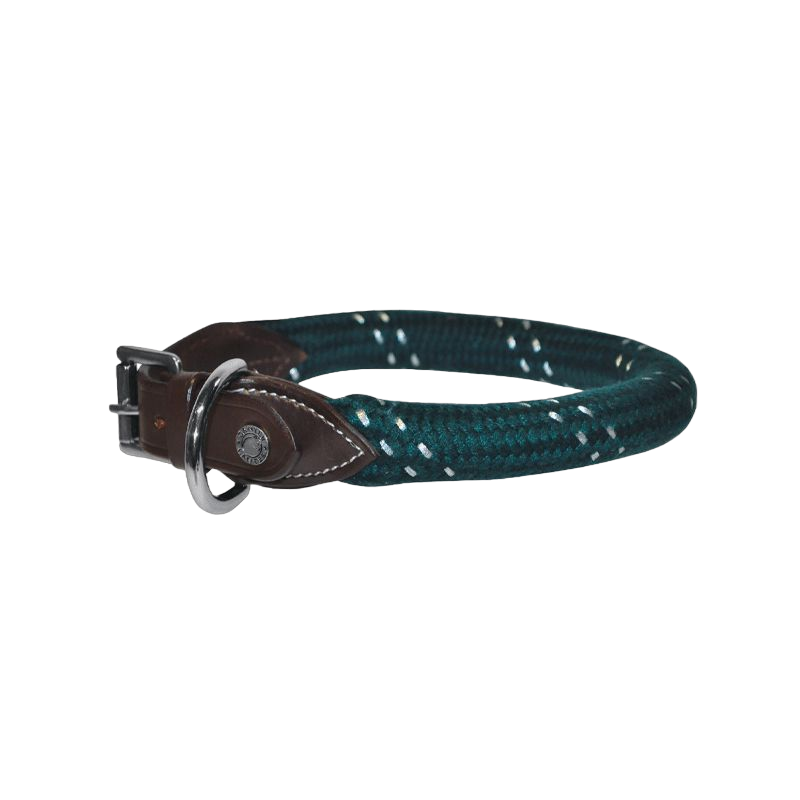 Canter - Collier pour chien en corde marron/ vert | - Ohlala