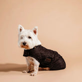 Kentucky Dogwear - Manteaux pour chiens 160g marron | - Ohlala