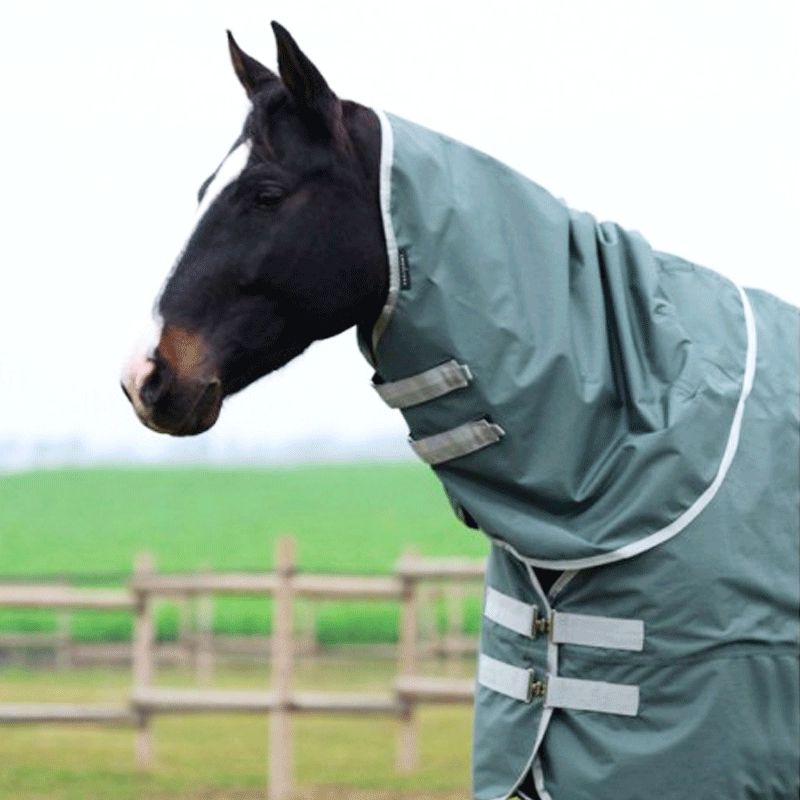 Couverture d'extérieur imperméable pour cheval avec couvre-cou Premier  Equine Buster 150 g - Couvertures d'extérieur - Textile - Cheval