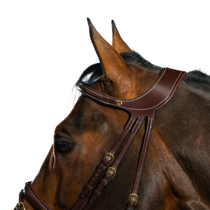 Dyon - Bridle Difference D Brown Collection