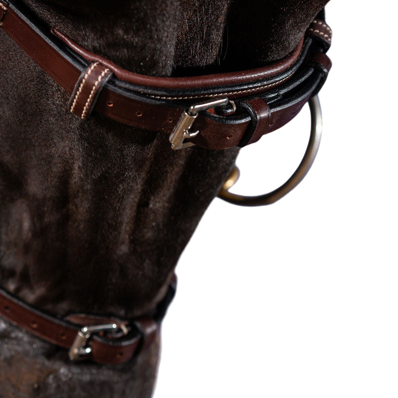 Dyon - X-Fit US Collection bridle brown