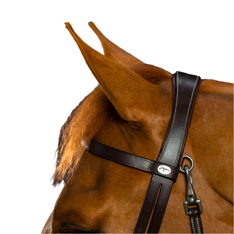 Dyon - Flat leather bridle with carabiners Working by Dyon brown