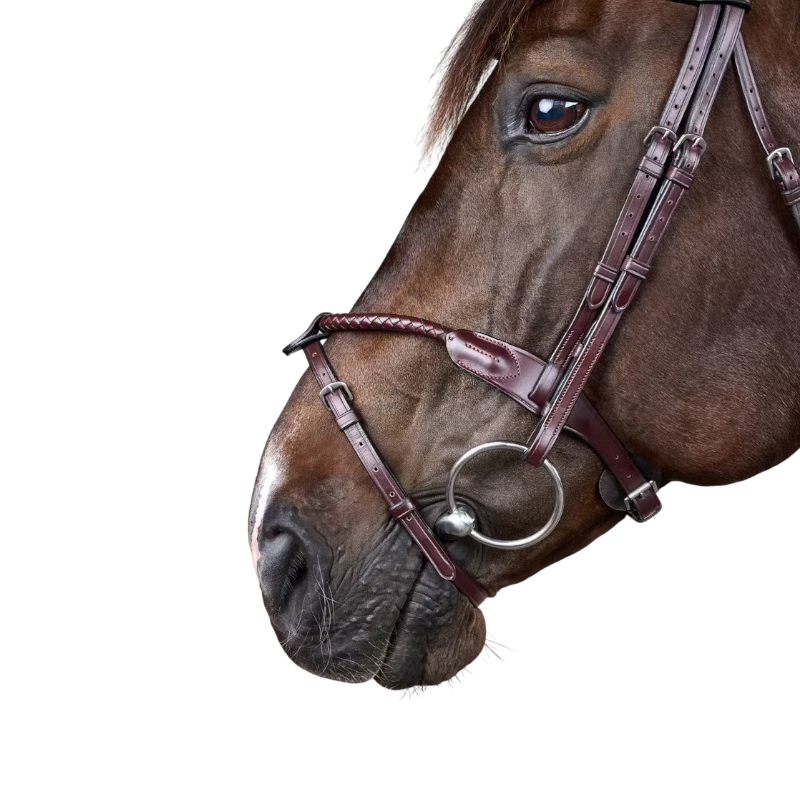 Dyon - Braided bridle with removable noseband New English Collection brown 