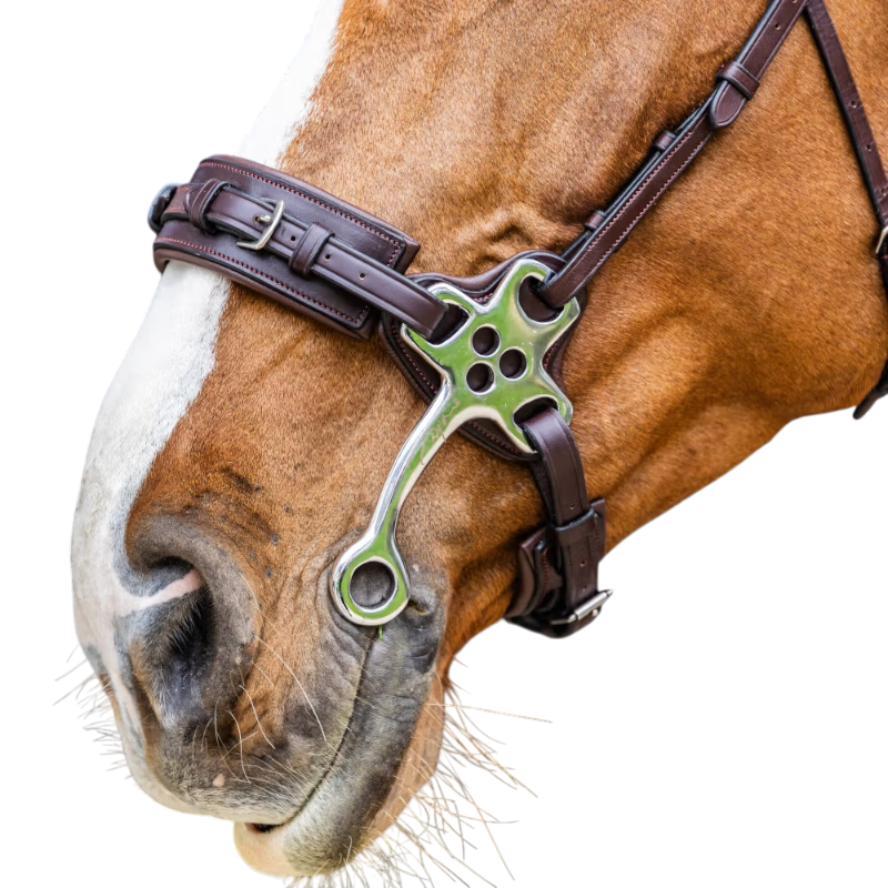 Dyon - Hackamore New English Collection marron